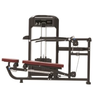 TF29 Dual Shoulder Press - Seated Chest Press